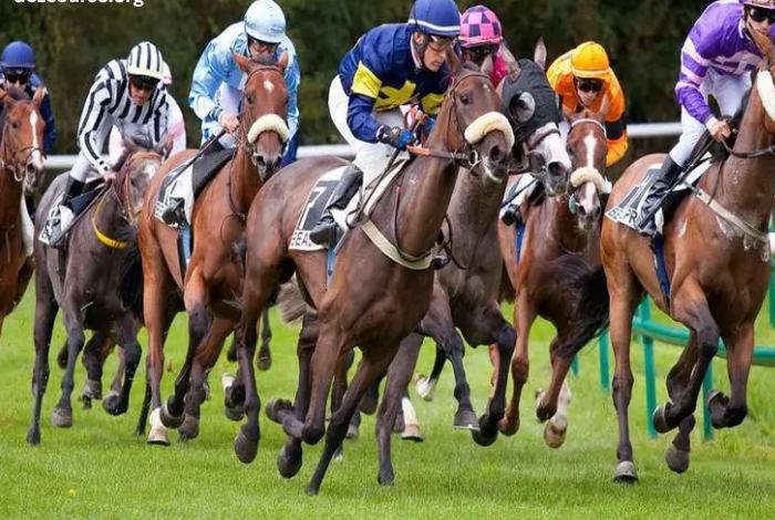 Resultat Des Courses Aujourd’hui