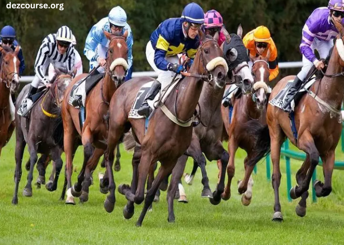 Resultat Des Courses Aujourd’hui