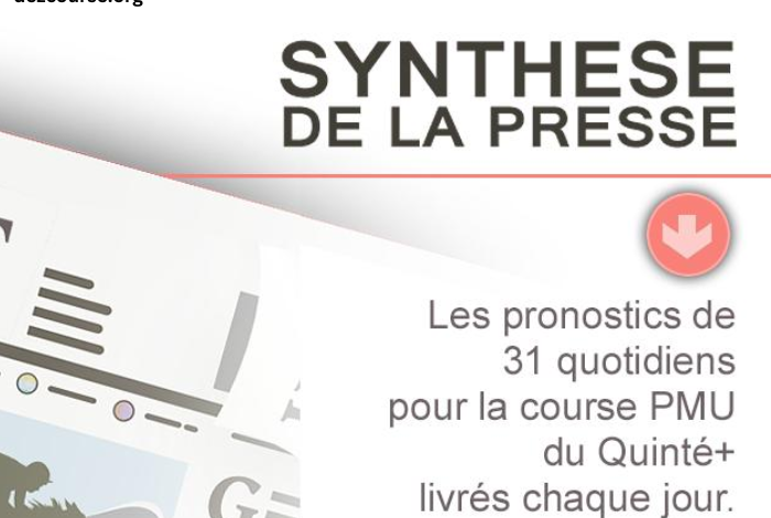 Synthèse DE LA Presse