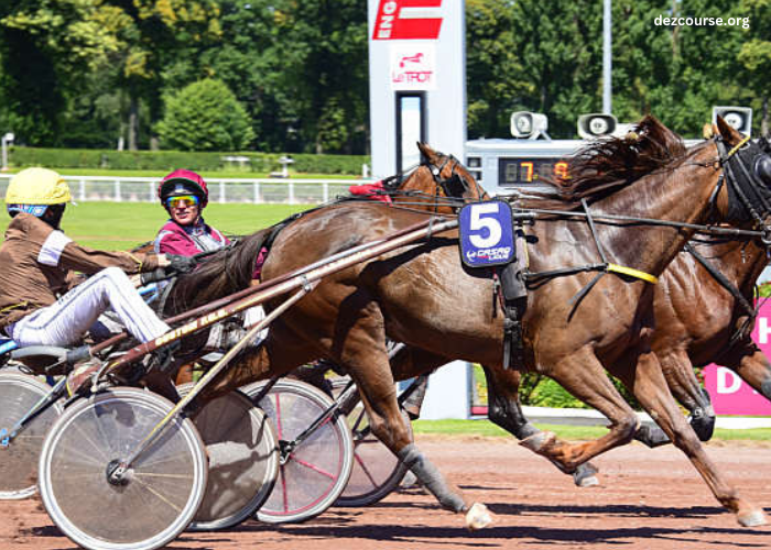 Cheval Coup Sur Du Jour