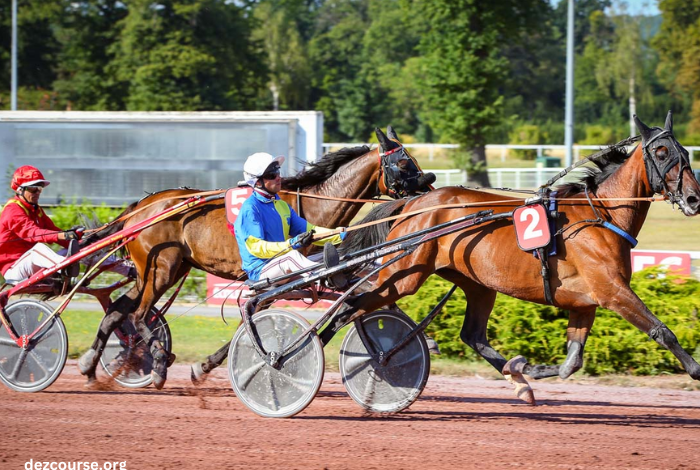 Le Duo Du Turf