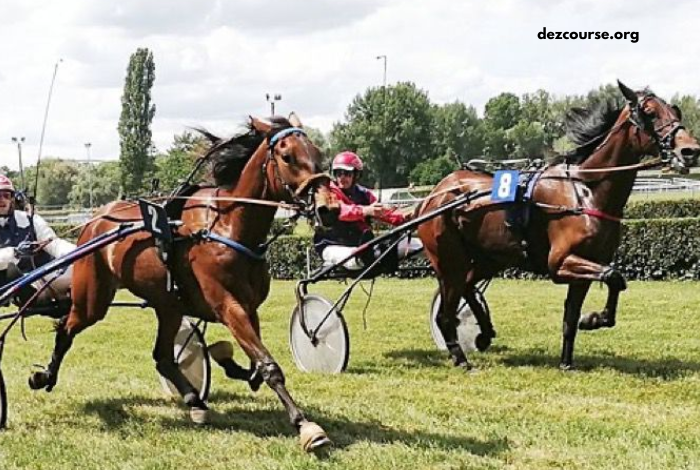 Lesduels Du Quinté