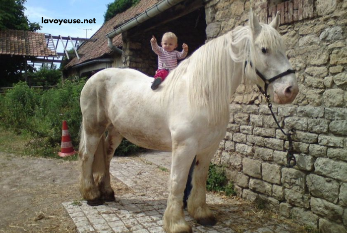 Maxi Prono Vérité