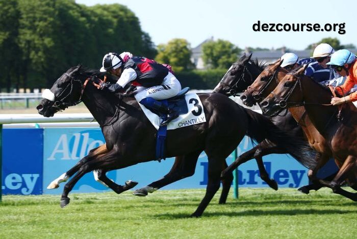 100100 Ordre Turf (1)