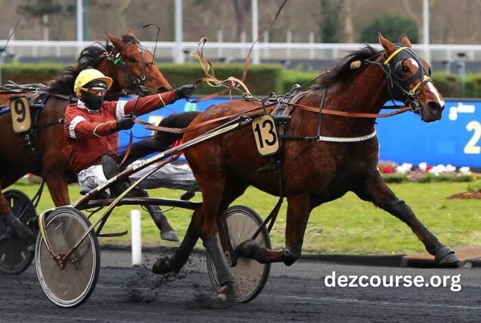 Ivoire Turf Vip (1)