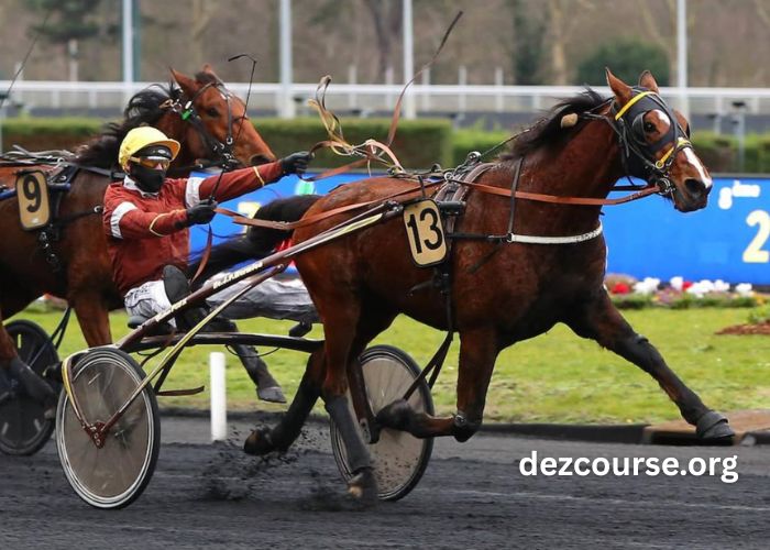 Ivoire Turf Vip