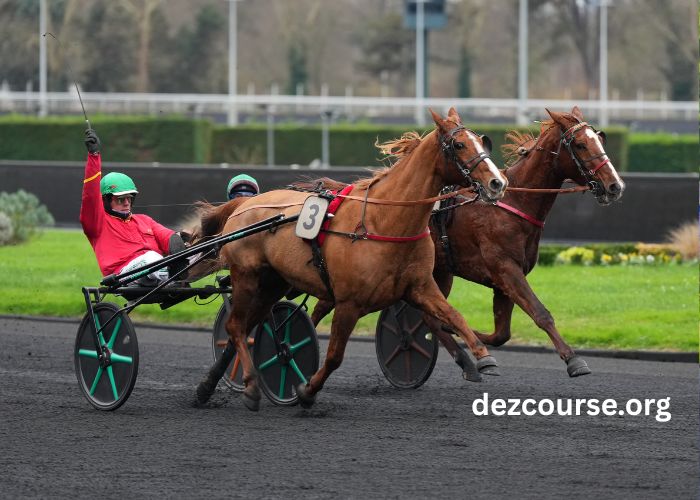 Jolie Turf Gagnant