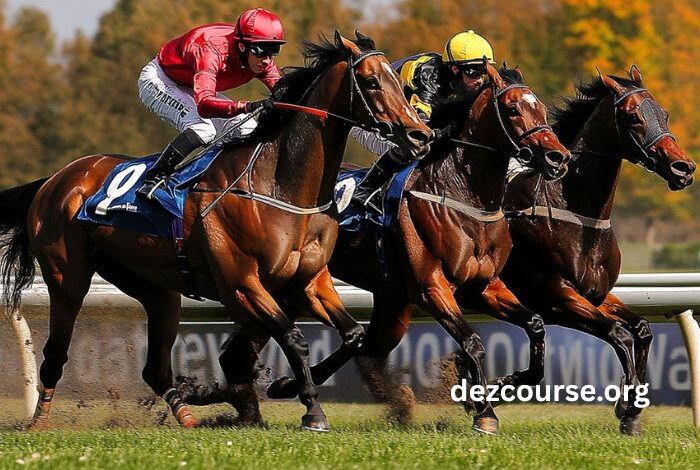 Nanouturf 100 100 Gagnant