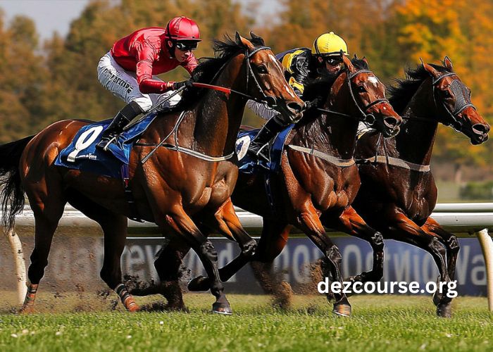 Nanouturf 100 100 Gagnant