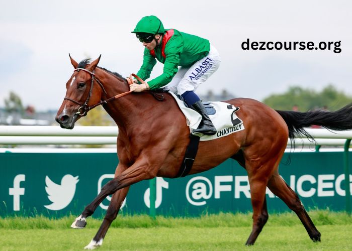 Paris Promise Turf (2)