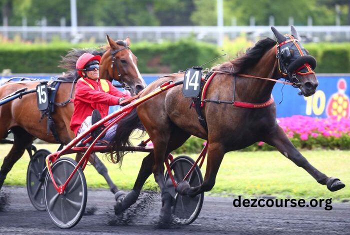 Passage Oblige 100 Gagnant Placé 3