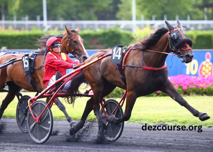 Passage Oblige 100 Gagnant Placé 3 (2)