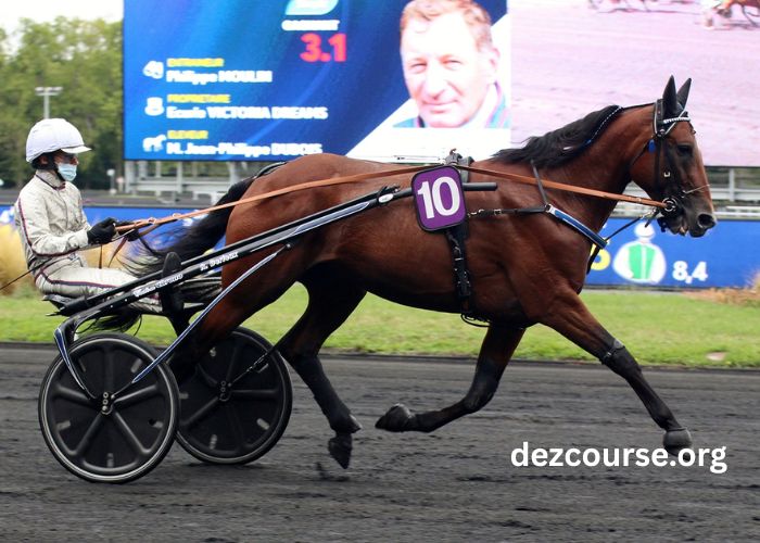 Programme Pmu DE Demain