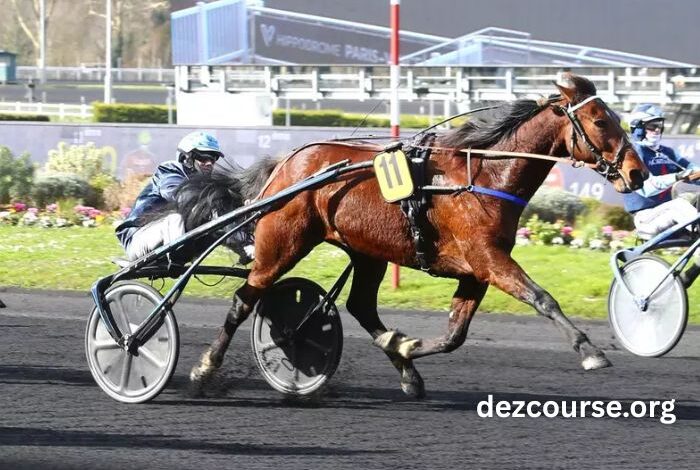 Pronostic Pmu Quinté Du Jour (3)