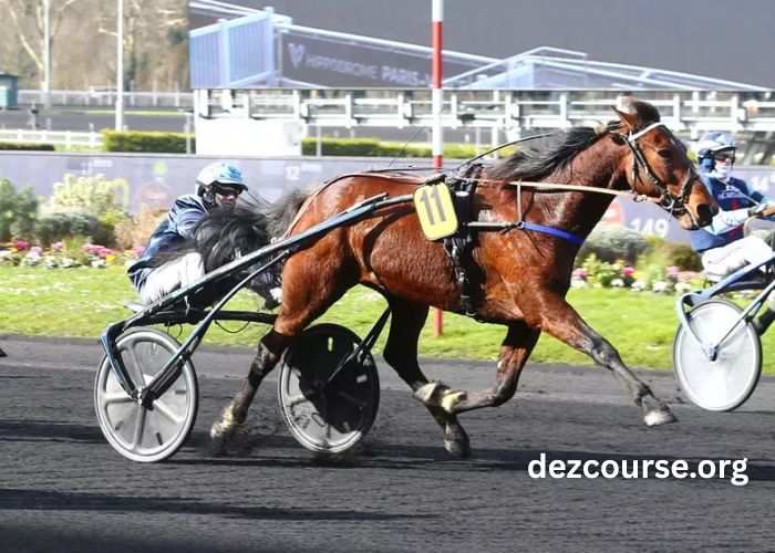 Pronostic Pmu Quinté Du Jour
