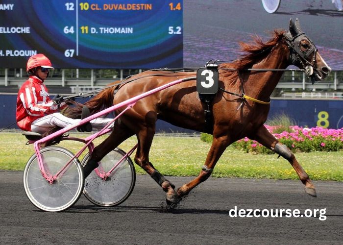 Résultats Du Quinté D’aujourd’hui