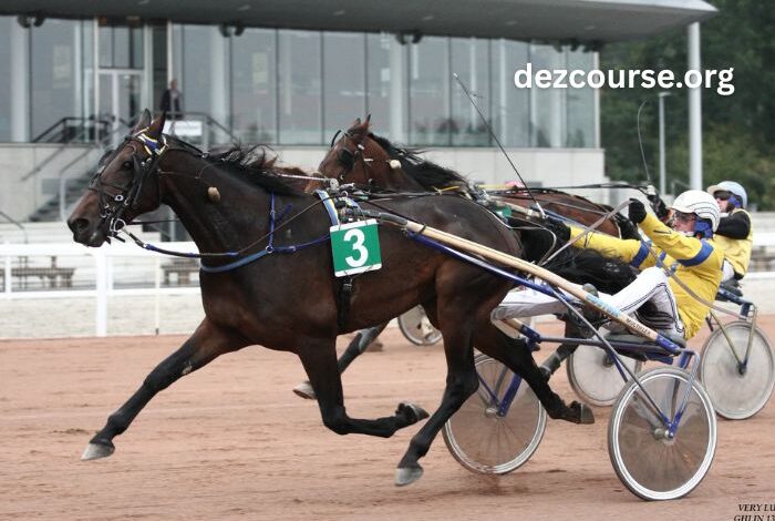 Trio 3 Chevaux