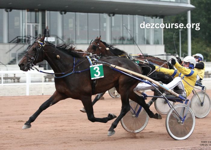 Trio 3 Chevaux