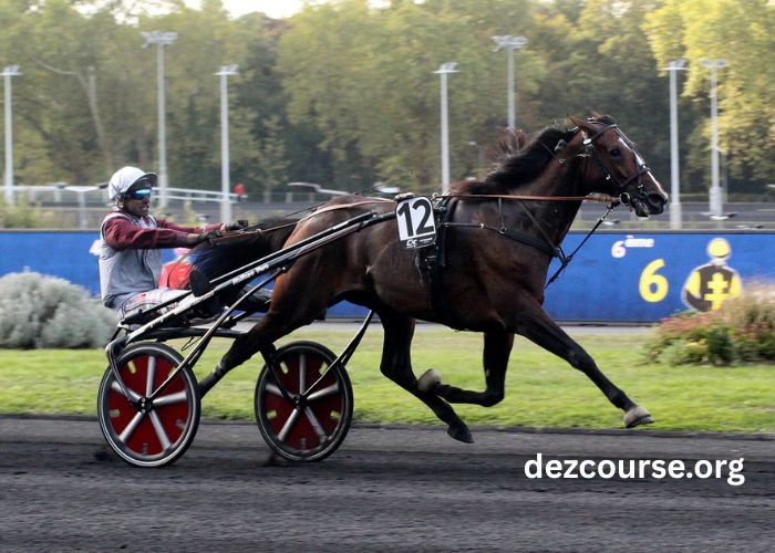 123 Milliard Turf (2)