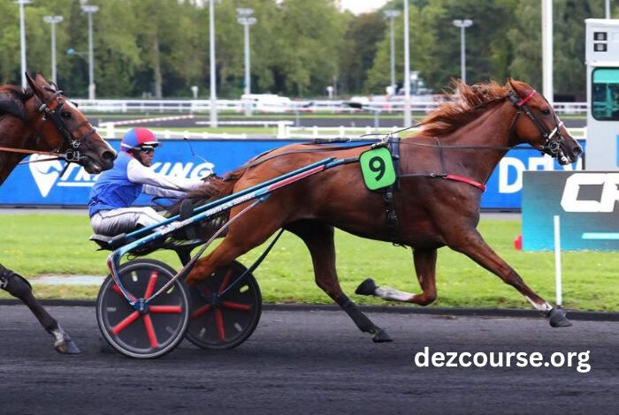 Canalturf Du Jour (4)