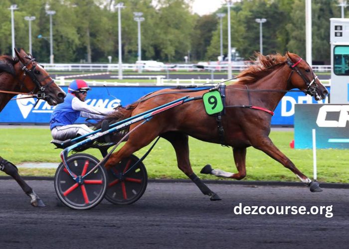 Canalturf Du Jour (4)