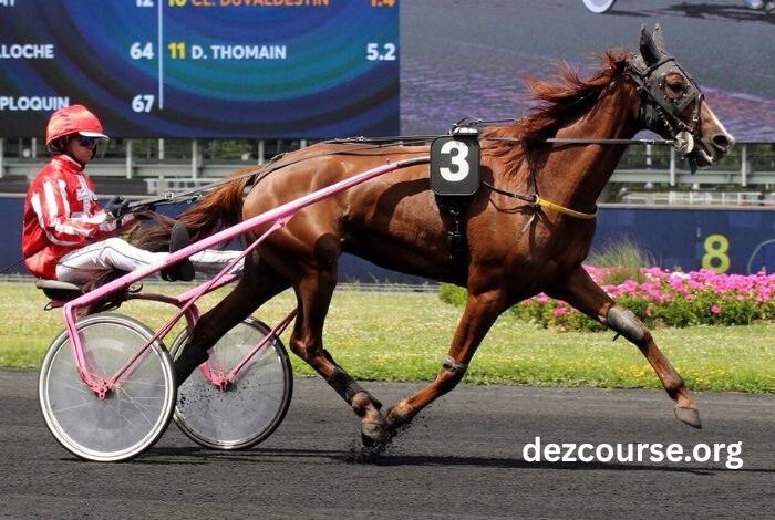 Gagnant Turf Vip (1)
