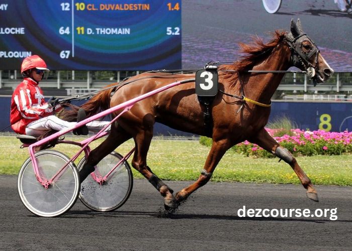 Gagnant Turf Vip (1)