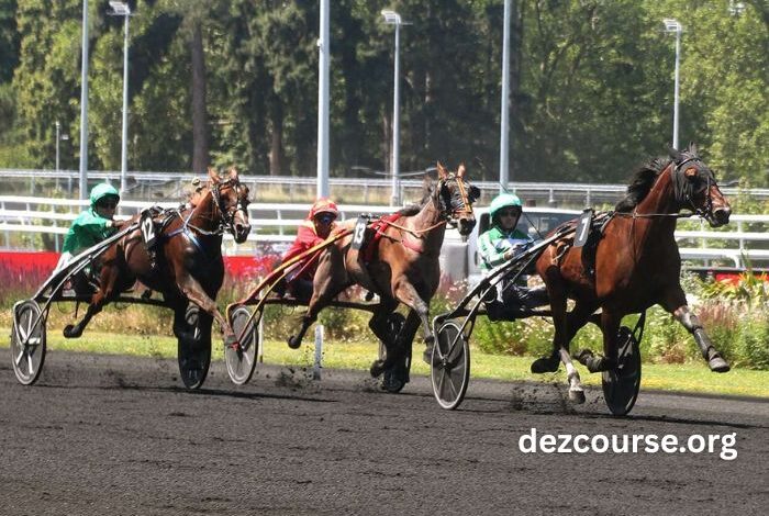 Geni Du Turf Vip (2)