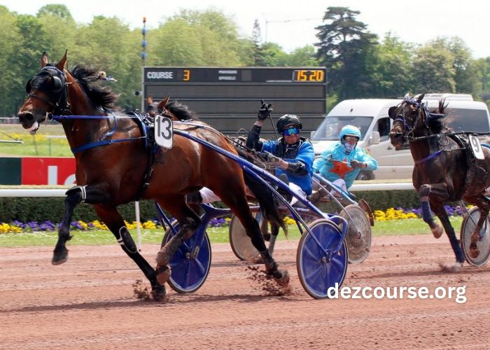 Geny Gagnant Dernière Minute (1)