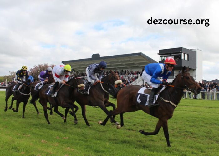 Good Hippique Turf (2)