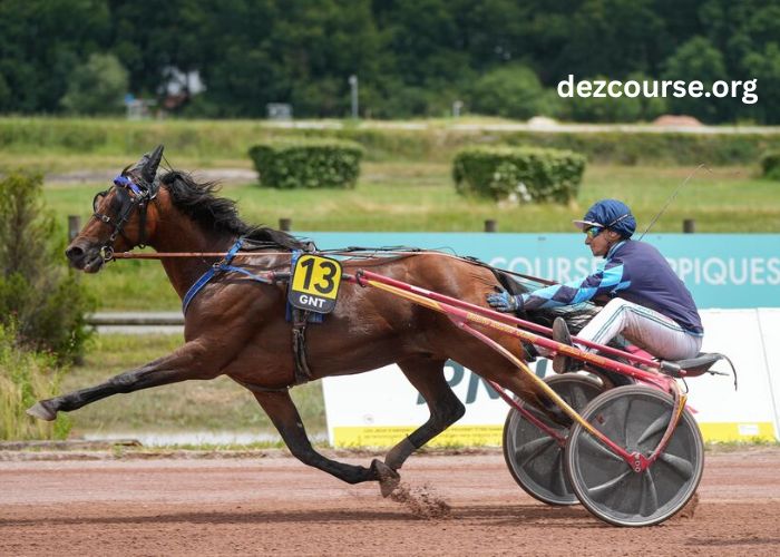 L'arrivée Du Jour Pmu (3)