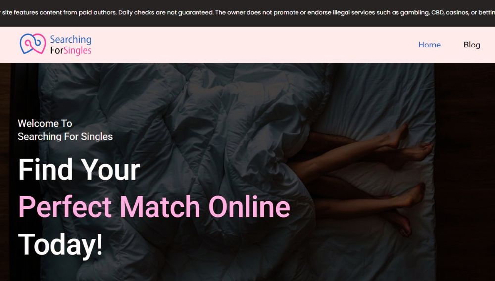 searchingforsingles org